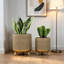 Metal Pot Planter