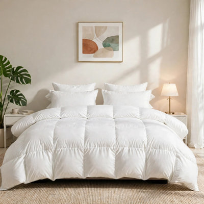 Babb 750 FP All Seasons Feathers Down Comforter, Ultra-Soft Egyptian-Quality Cotton Fabric, White