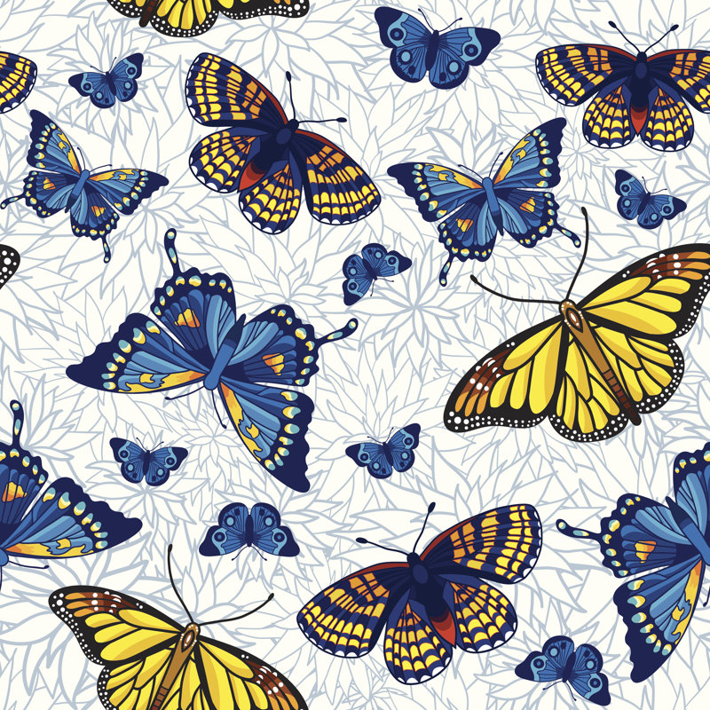 Butterfly Illustration - Wrapped Canvas Print, 51cm H x 51cm W x 3.8cm D