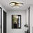 Modern Black LED Ceiling Light