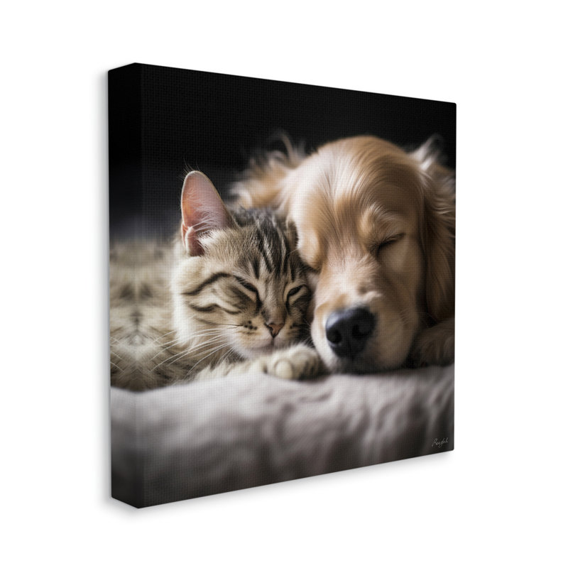 «Ebern Designs Cat and Dog», photographie sur toile par Roozbeh, H 30 po x l 30 po x P 1,5 po