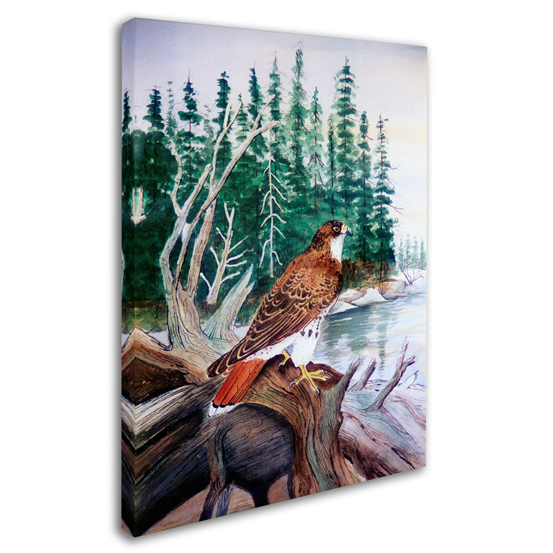Dugazon «Red Tailed Hawk», impression sur toile tendue, H 19 po x l 14 po