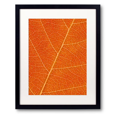 Autumn Leaf by Philippe Monthoux