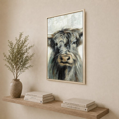 Vache Highland