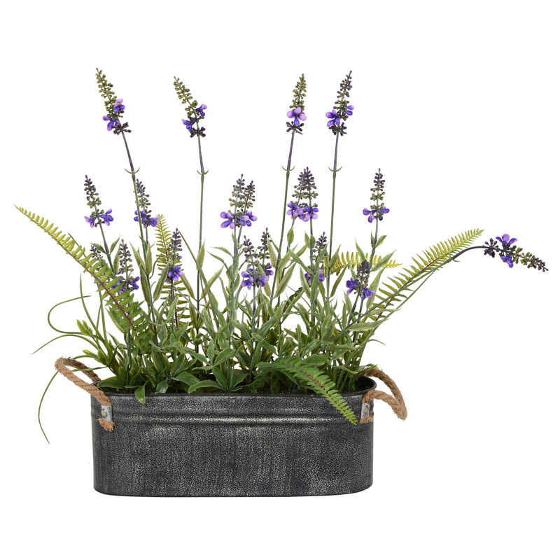 Arrangement de fleurs mélangées en pot