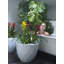 Vases Polyethylene Resin Pot Planter-49046854-49046858