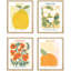 Sydney Orange Flower Poppies, impression sur papier 4 pièces-97782520-97782522