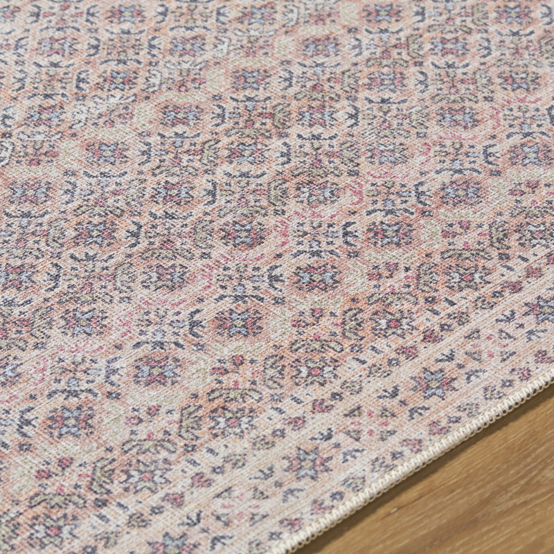 Cadeshia Machine Washable Rug, Rectangle 2' x 2'11"