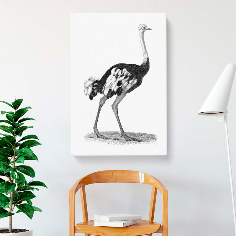 Ostrich In Black And White by George Shaw - Wrapped Canvas, 50cm H x 35cm W x 3cm D
