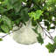 Verdant Vines Faux Ivy Plant in Glass Vase