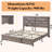  Tryston Farmhouse King Bed Frame with 49.2" Barn Door Headboard, White-506678664-506678666