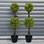 Faux Topiary in Pot Liner-112376041