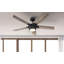 Prochoros Ceiling Fan with LED Lights