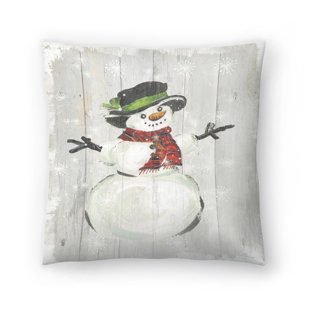 https://assets.wfcdn.com/im/97071249/resize-h310-w310%5Ecompr-r85/2260/226040350/danzo-polyester-throw-pillow.jpg