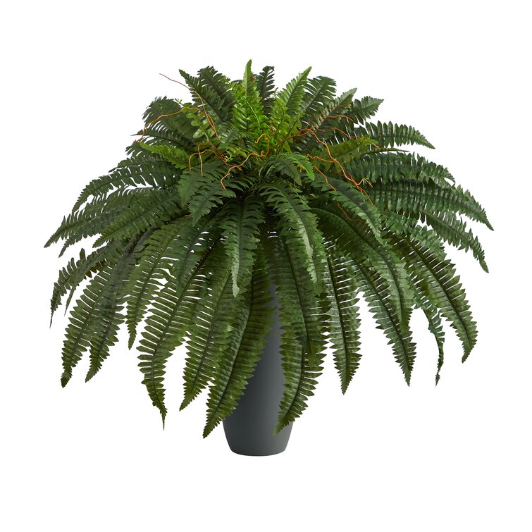 30 Artificial Fern Plant in Planter Primrue