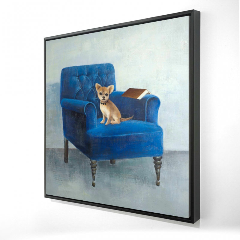 "Chihuahua sur un fauteuil bleu"