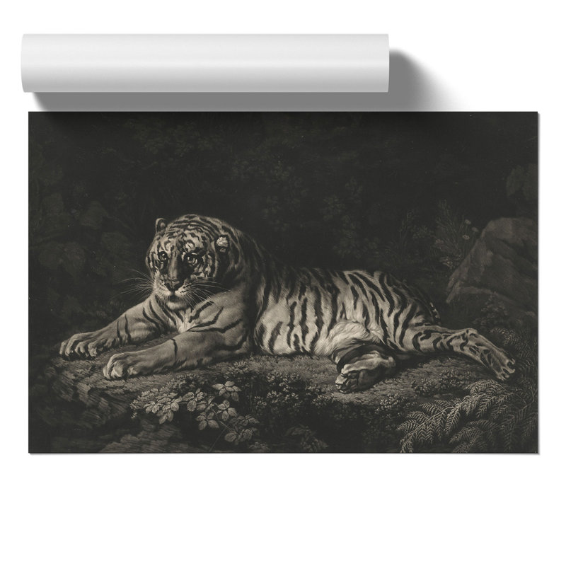 A Tiger by George Stubbs - Frameless Print, 42cm H x 59cm W x 0.1cm D