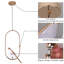 1 - Light Chandelier LED Chandelier