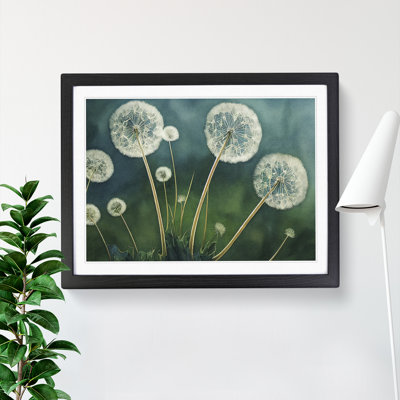 Watercolour Dandelions - Single Picture Frame Print