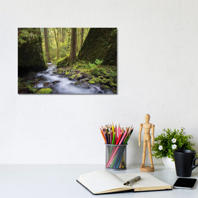 USA, Oregon. Spring View Of Ruckle Creek In The Columbia River Gorge. by Gary Luhm - Wrapped Canvas Print