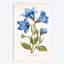 « blue impression », impression sur toile-31496140-73278889-73278884