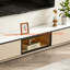 Rangement pour meuble télé de style moderne-1358657563-1358657561