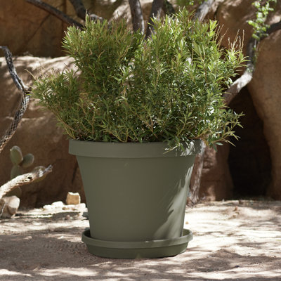 Terra Traditional Plastic Indoor/Outdoor Pot Planter