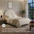 Birkmore Twin Upholstered Panel Headboard