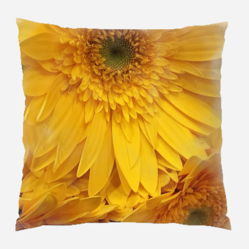 Coussin décoratif fleur Mincey, Microsuède, Intérieur