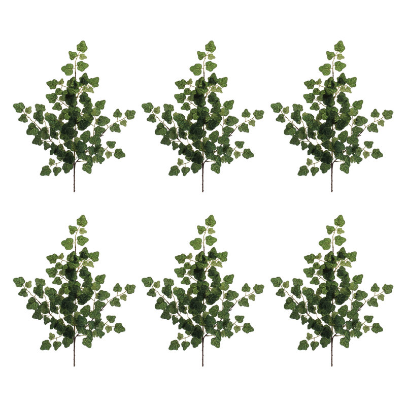 Ivy Foliage Spray
