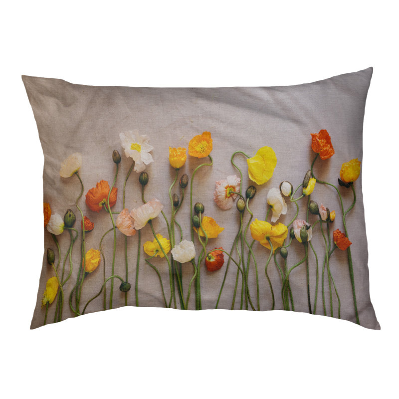 Coussin de concepteur de fleurs séchées Burien, L 19,5 po x l 29,5 po, Marron foncé