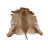 Real Hartebeest Antelope Hide Rug