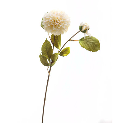 Arrangement