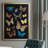 " Collected Flutter IV "-851662921-851662968