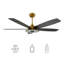 Ventilateur de plafond intelligent intérieur / extérieur de 56 pouces Journey, ensemble d'éclairage à DEL à intensité variable et télécommande, fonctionne avec l'assistant Google, Amazon Alexa et les raccourcis Siri.-400815762-400815767-400815761