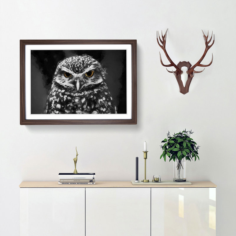 Little Owl in Abstract - Picture Frame Art Print, Walnut, 40cm H x 60cm W x 2cm D