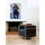 Fetch It 1 Piece Wrapped Canvas Painting-21174512