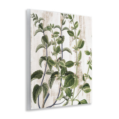 "Rustic Botanical Vines", art mural par Kim Allen