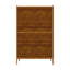 1 - Door Rectangle Accent Cabinet