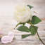 Ensemble de 6 arrangements de marguerites en soie-1003743506