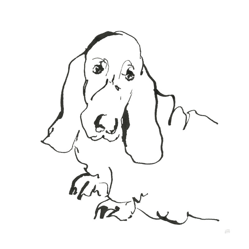 Line Dog Basset Hound, H 12 po x l 12 po