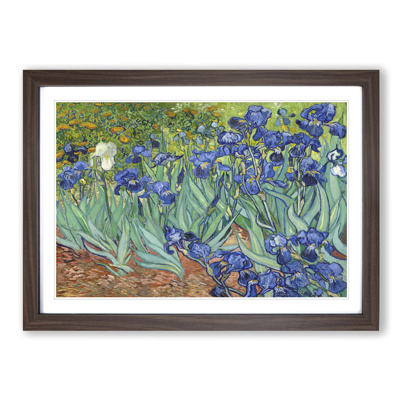 Vincent Van Gogh - Single Picture Frame Painting, Walnut
