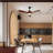 Aarshiya 52'' Ceiling Fan with LED Lights