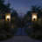 Lycius 1-Light Outdoor Armed Sconce
