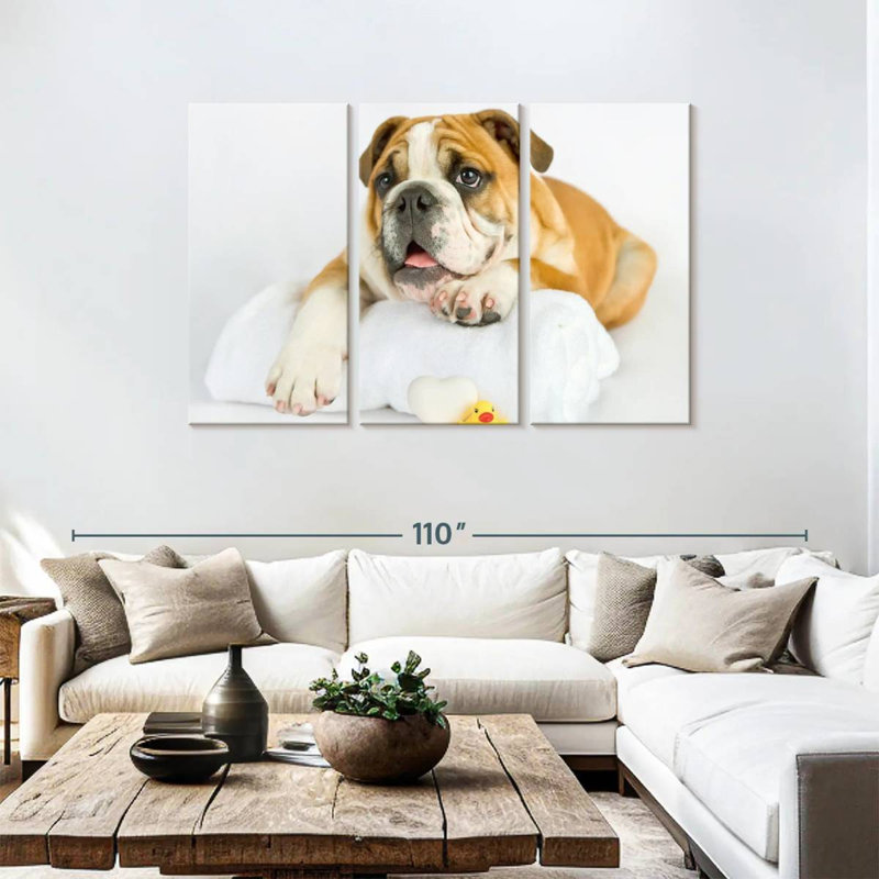 Brampt Donald I, 48" H x 74" W