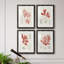 Vintage Coral Study I - Ensemble de 4 reproductions de cadres photo-1130742209-1130742215