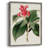 FloraOfTheTropicsI Framed Print - Solid Wood-672402831