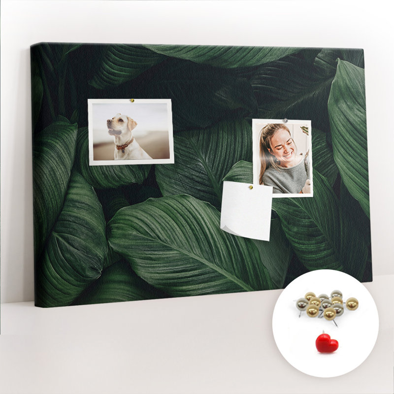 Makyah Cork Corkboard / Bulletin Board
