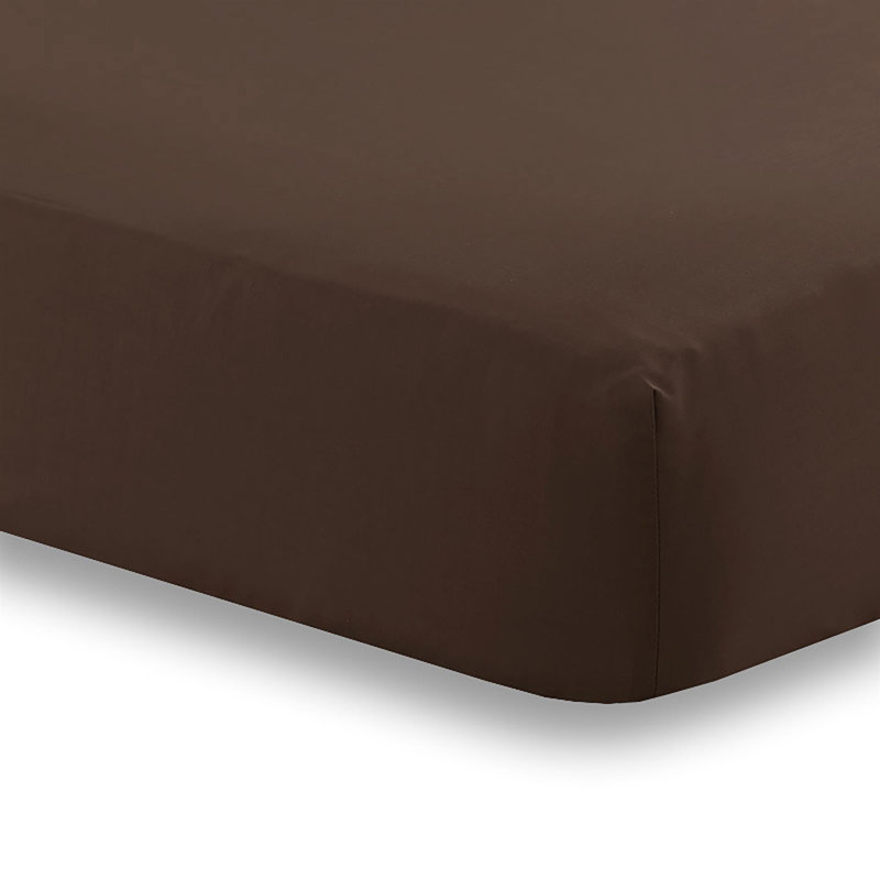 Girovard Percale Fitted Sheet, Single, Chocolate 