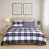 Navy Check